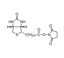(+) - Биотин N-гидроксисукцинимида, 98%, 0, Alfa Aesar, 25 г