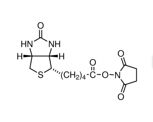 (+) - Биотин N-гидроксисукцинимида, 98%, Alfa Aesar, 1 г