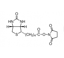 (+)-виoтин N-гидроксисукцинимид эфир, 98%, Acros Organics, 250мг