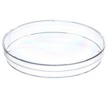 Чашка Петри Greiner Bio-One CELLSTAR® диаметр 145 мм, высота 20 мм, PS, вентилируемая, стерильная, 5 штук в упаковке (Артикул 639160)